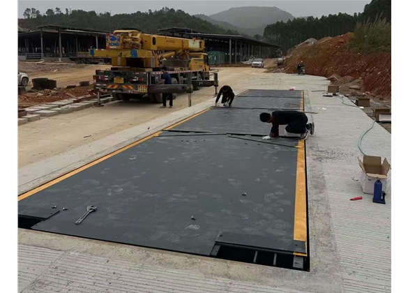 勝龍牛業(yè)清遠(yuǎn)智慧產(chǎn)業(yè)園地磅項(xiàng)目